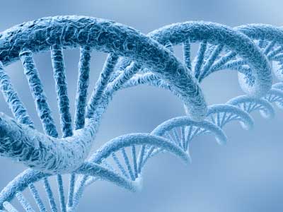 Communication Genome Project Communication Genome Project